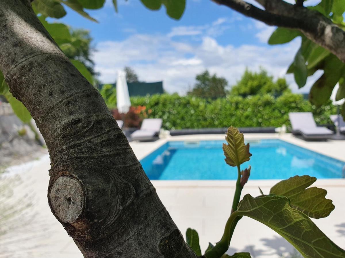 Holiday Home Demark Jurdani Ngoại thất bức ảnh